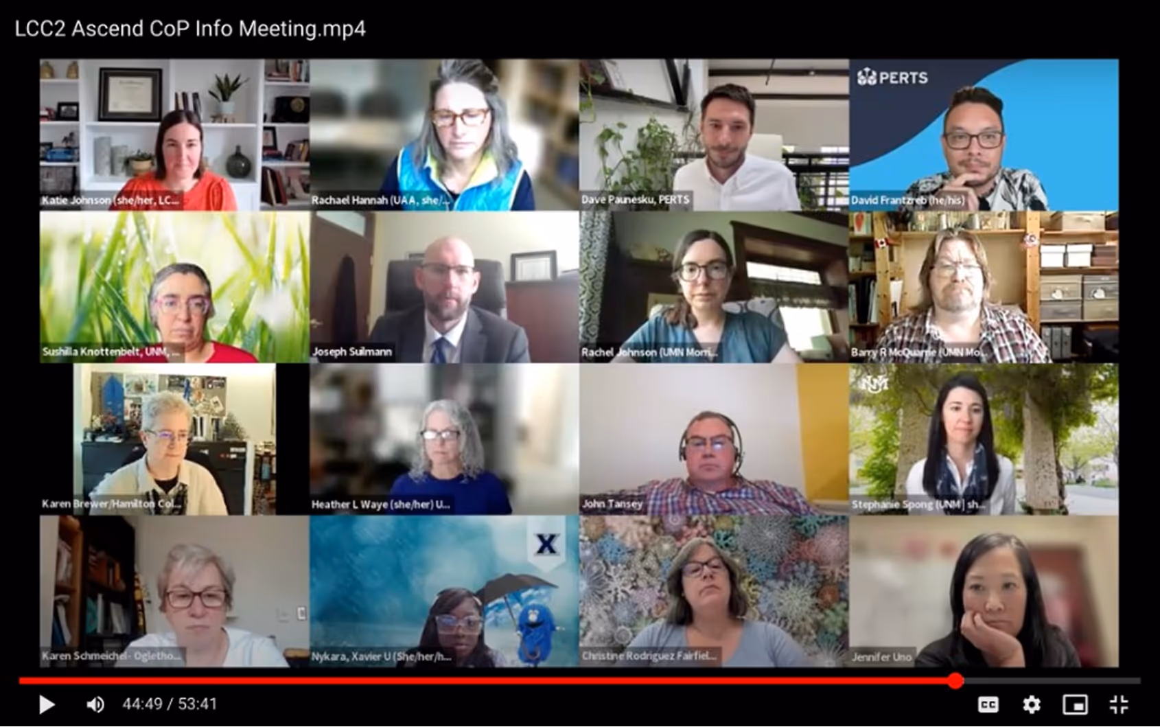 Virtual meeting screen with 15 participants in a grid, showing diverse individuals in various home and office settings.