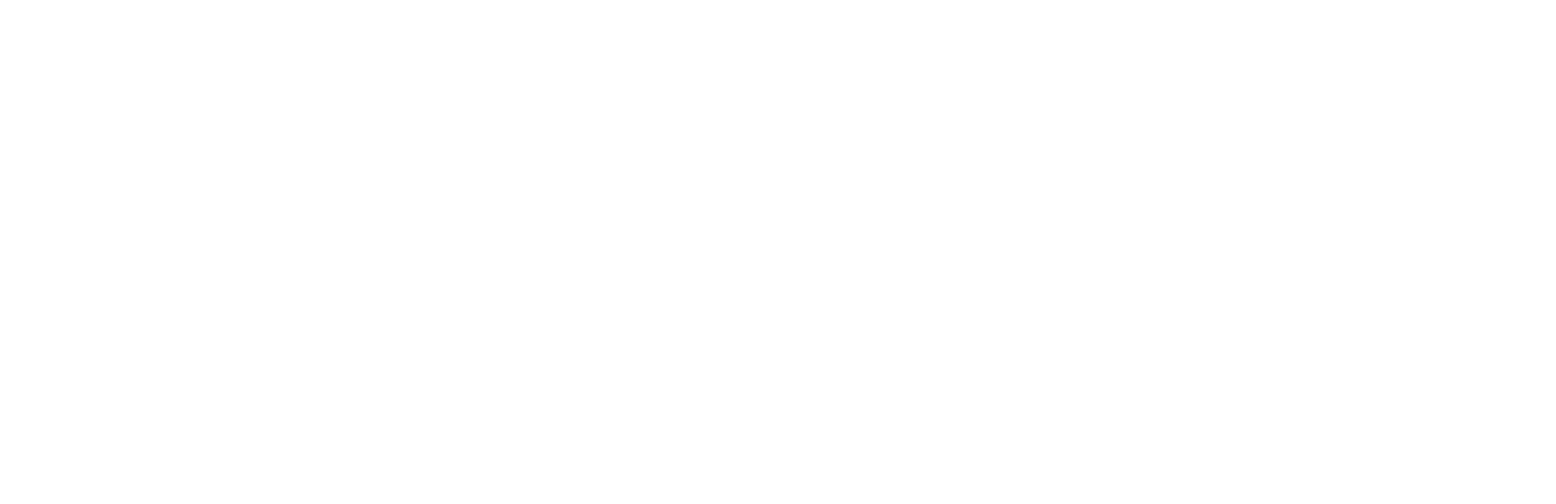 Logo bacher4living
