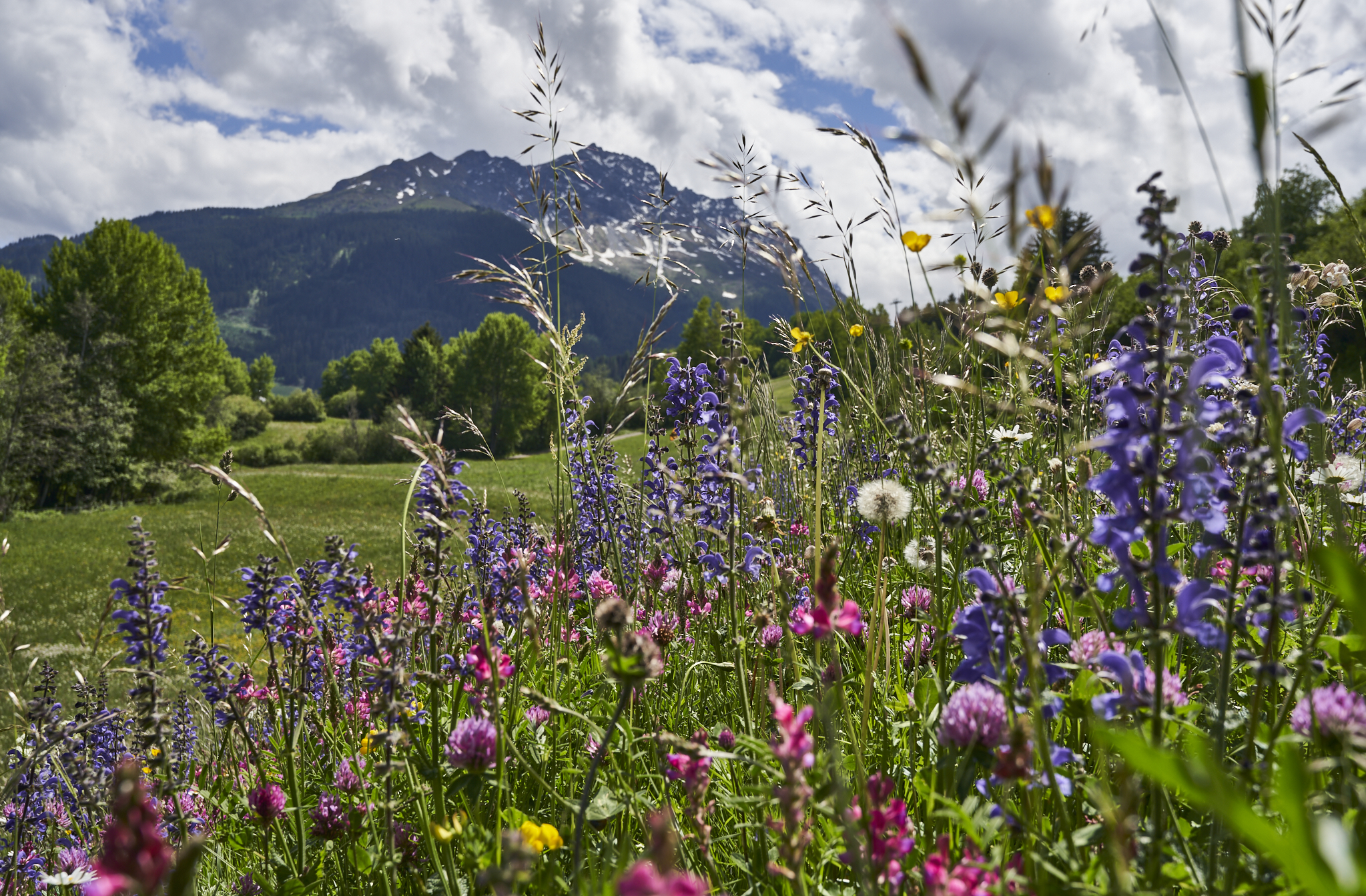 Foto erstellt von Tourismus Savognin Bivio Albula AG/Christoph Gramann