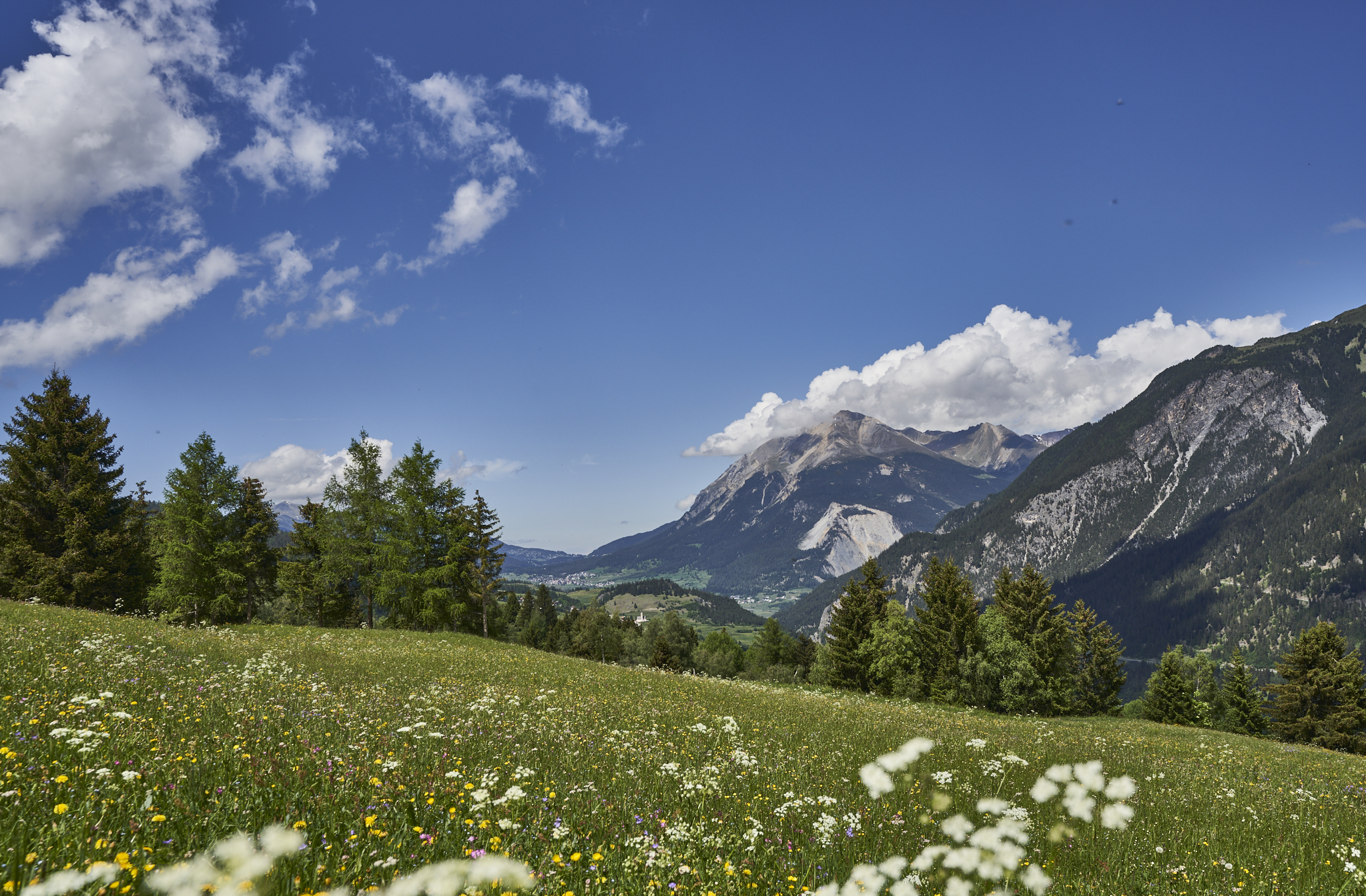 Foto erstellt von Tourismus Savognin Bivio Albula AG/Christoph Gramann