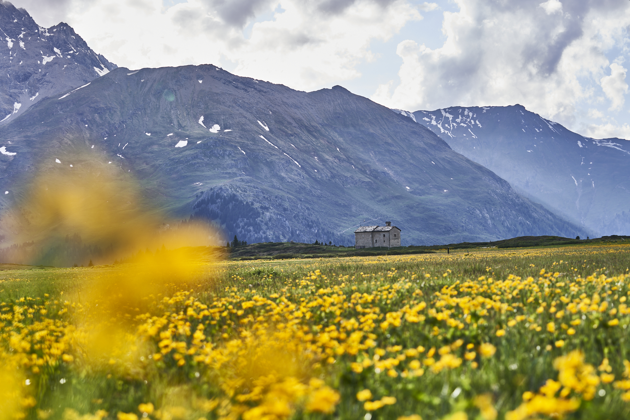 Foto erstellt von Tourismus Savognin Bivio Albula AG/Christoph Gramann
