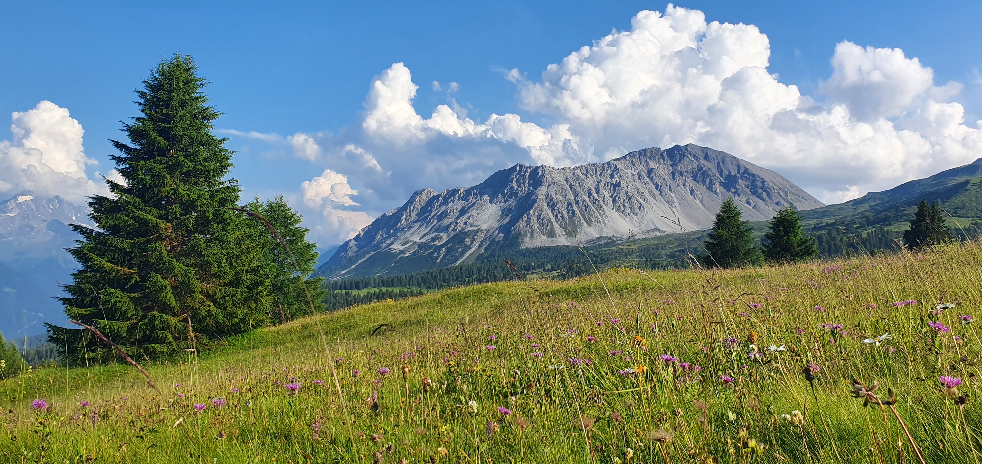 Foto erstellt von Tourismus Savognin Bivio Albula AG/Seraina Giovanoli-Trenkwalder