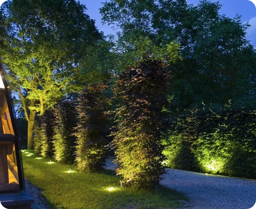 An outdoor lighting next to the trees
