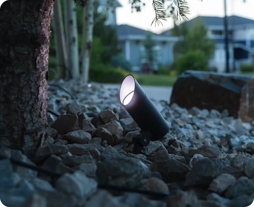 An outdoor lighting next to the tree