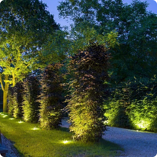 Outdoor lighting next to the trees