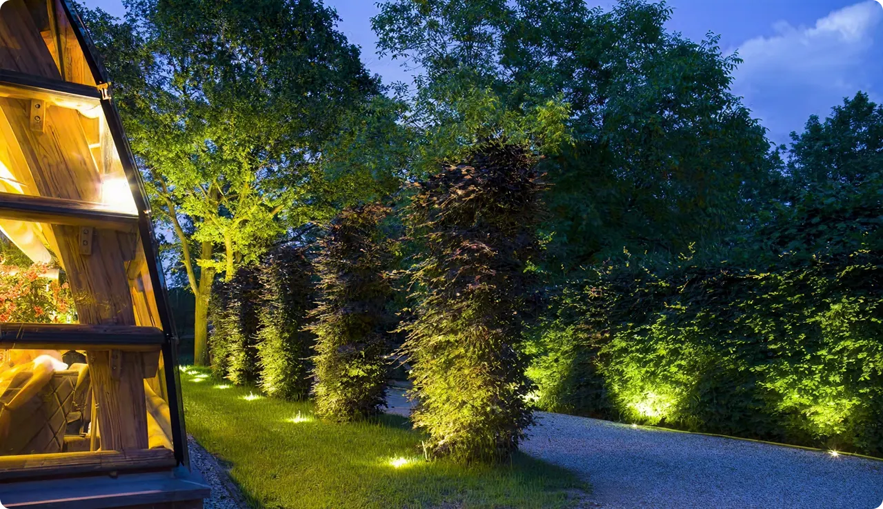 Trees with outdoor lighting