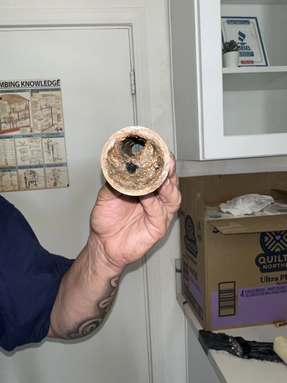 Plumbing Squad completed plumbing installation