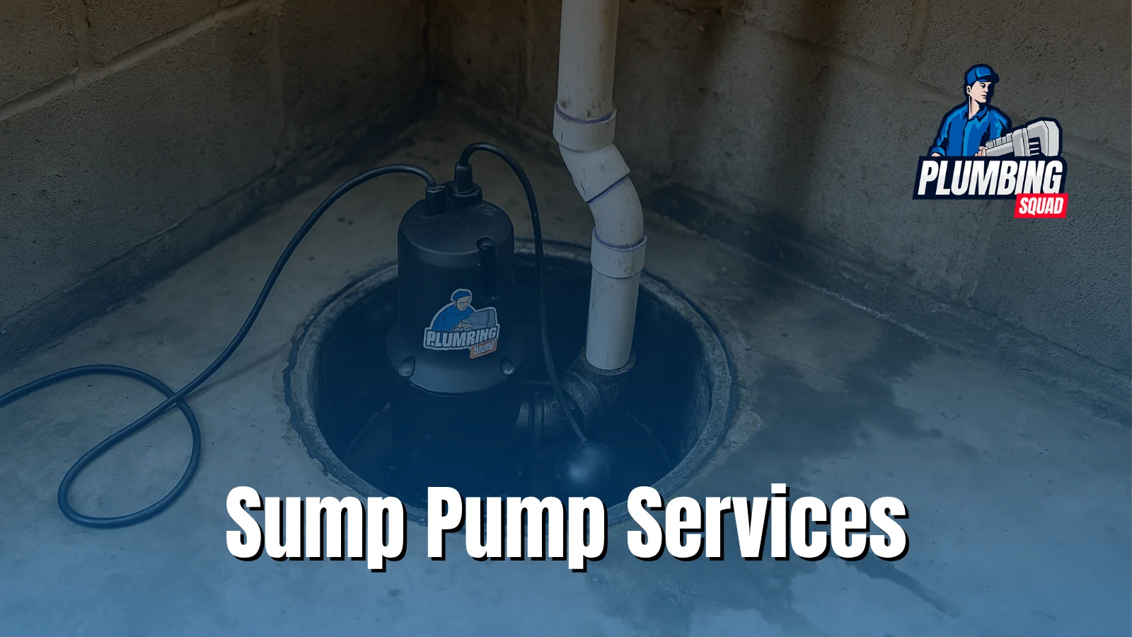 Sump pump services