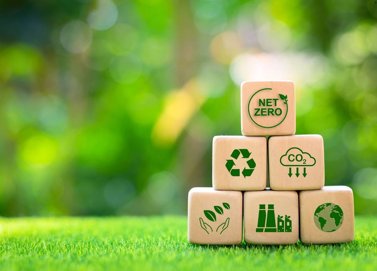 Low-Hanging Fruit of Eco Strategy