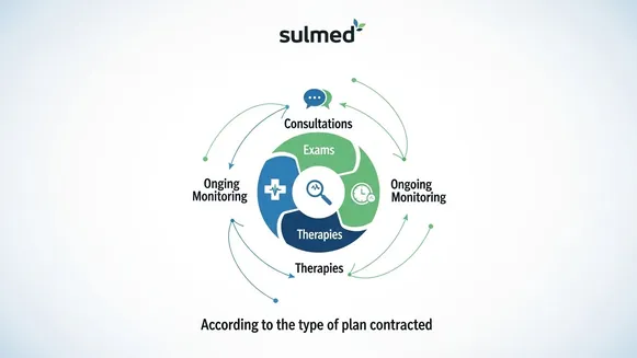 Diagrama da Sulmed mostrando consultas, exames e terapias