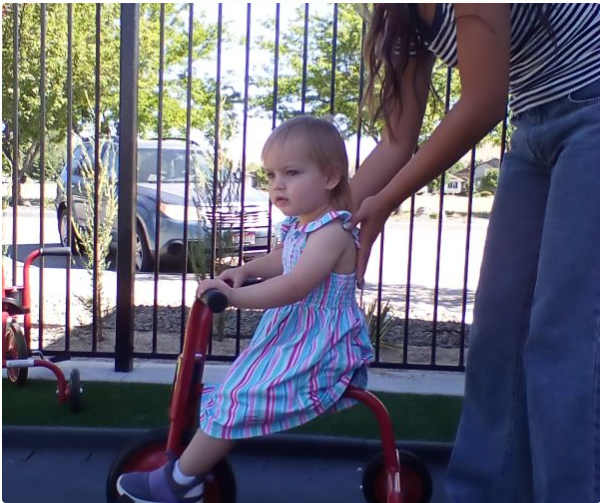 Toddlers/Twos