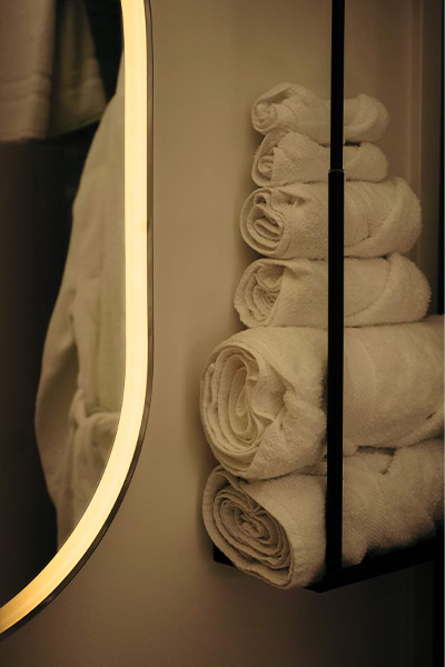 towels hanging in the washroom of a Skybox