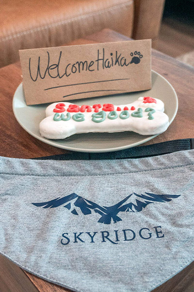 Welcome package with dog treats