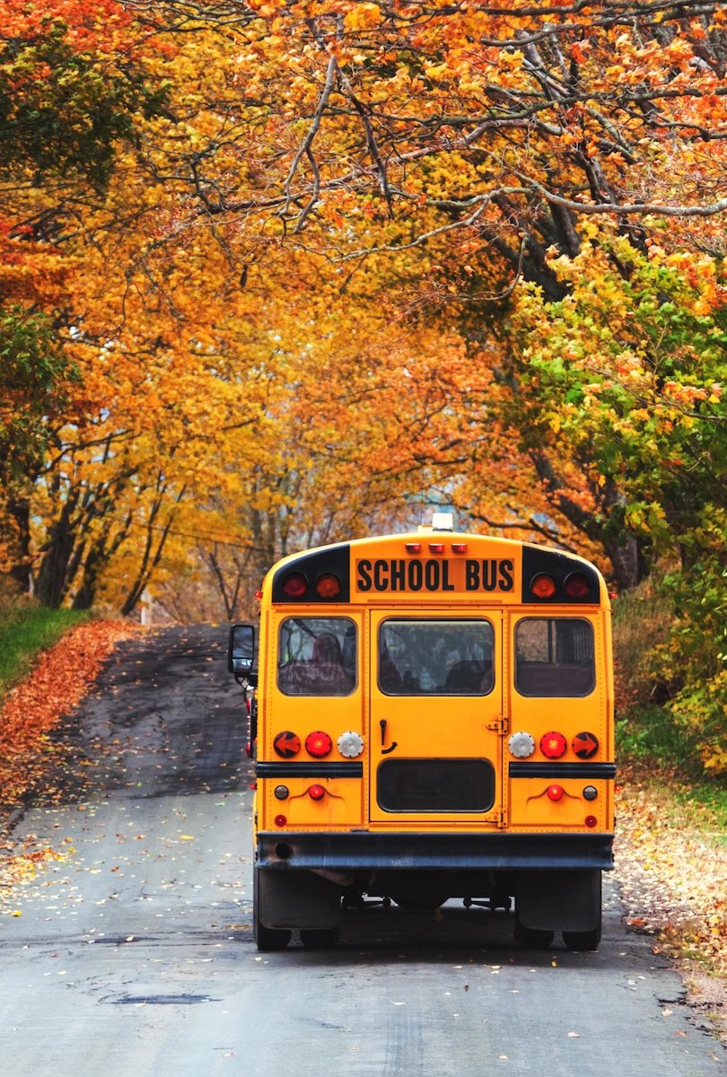 Yellow school bus on a tree-lined road with autumn leaves — school enrollment in Canada