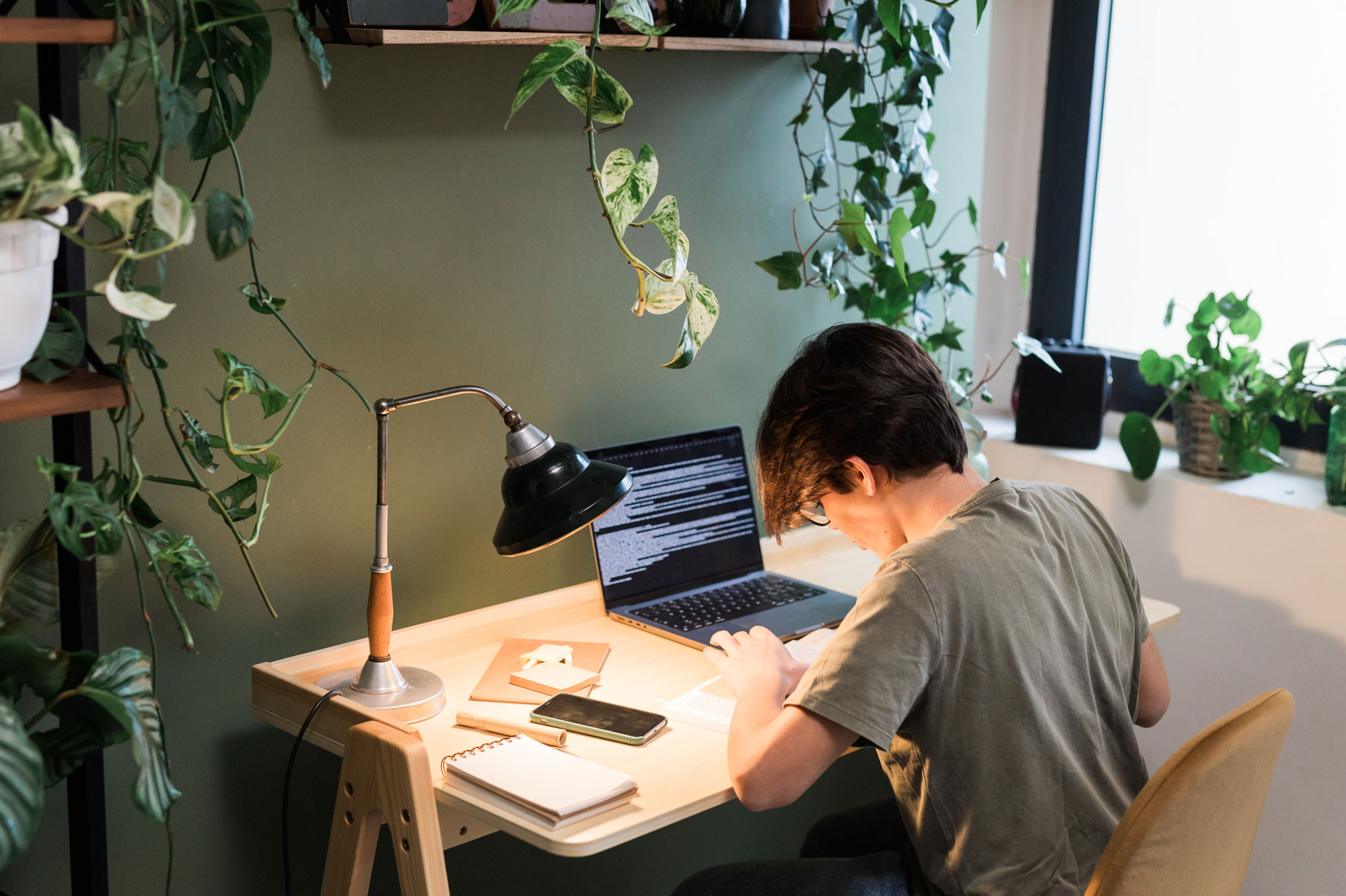 Person working at desk with plants
