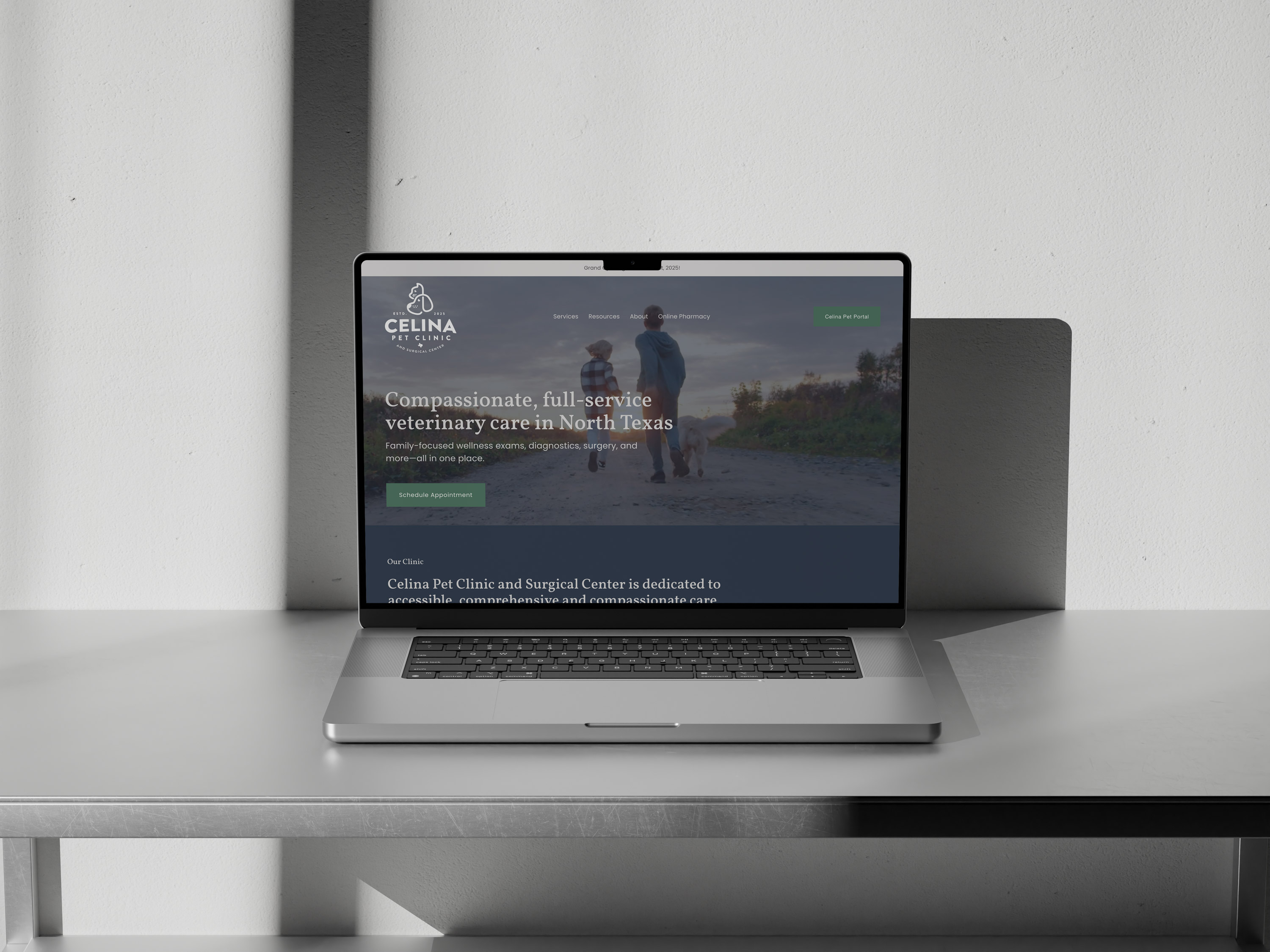 Celina website displayed on laptop in modern workspace