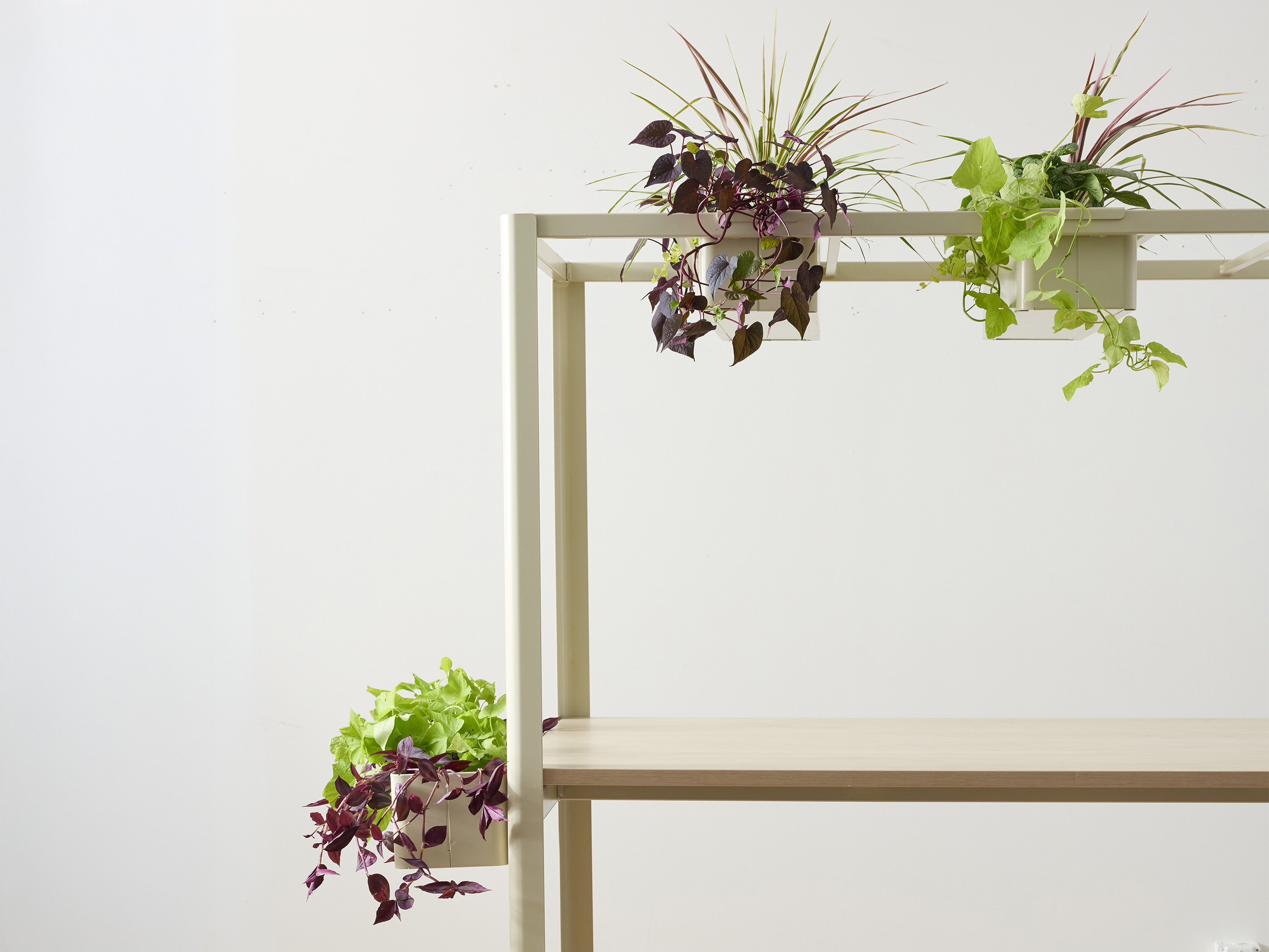 Plantable Table with Canopy gallery view 4