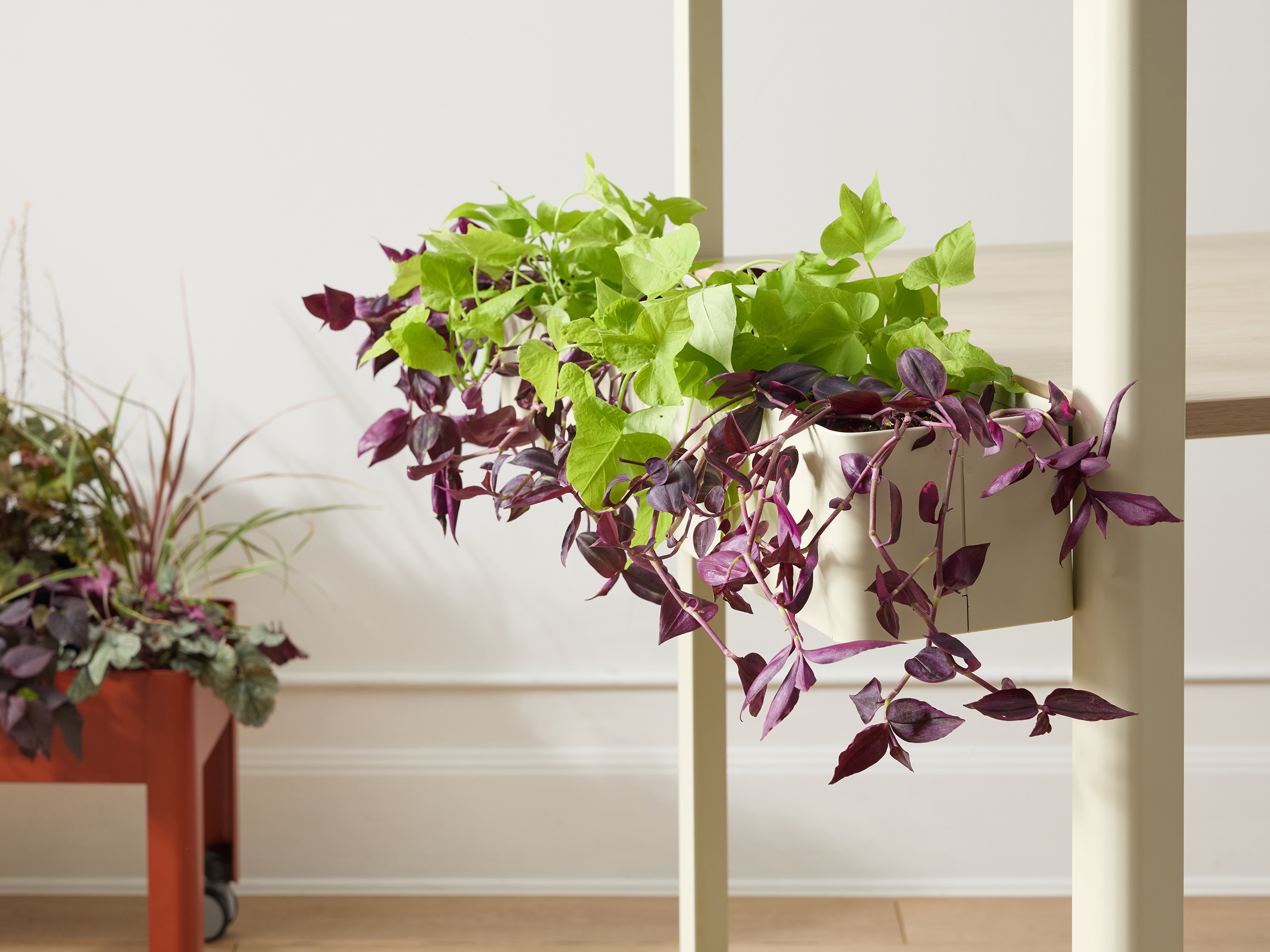 Plantable Table with Canopy gallery view 6