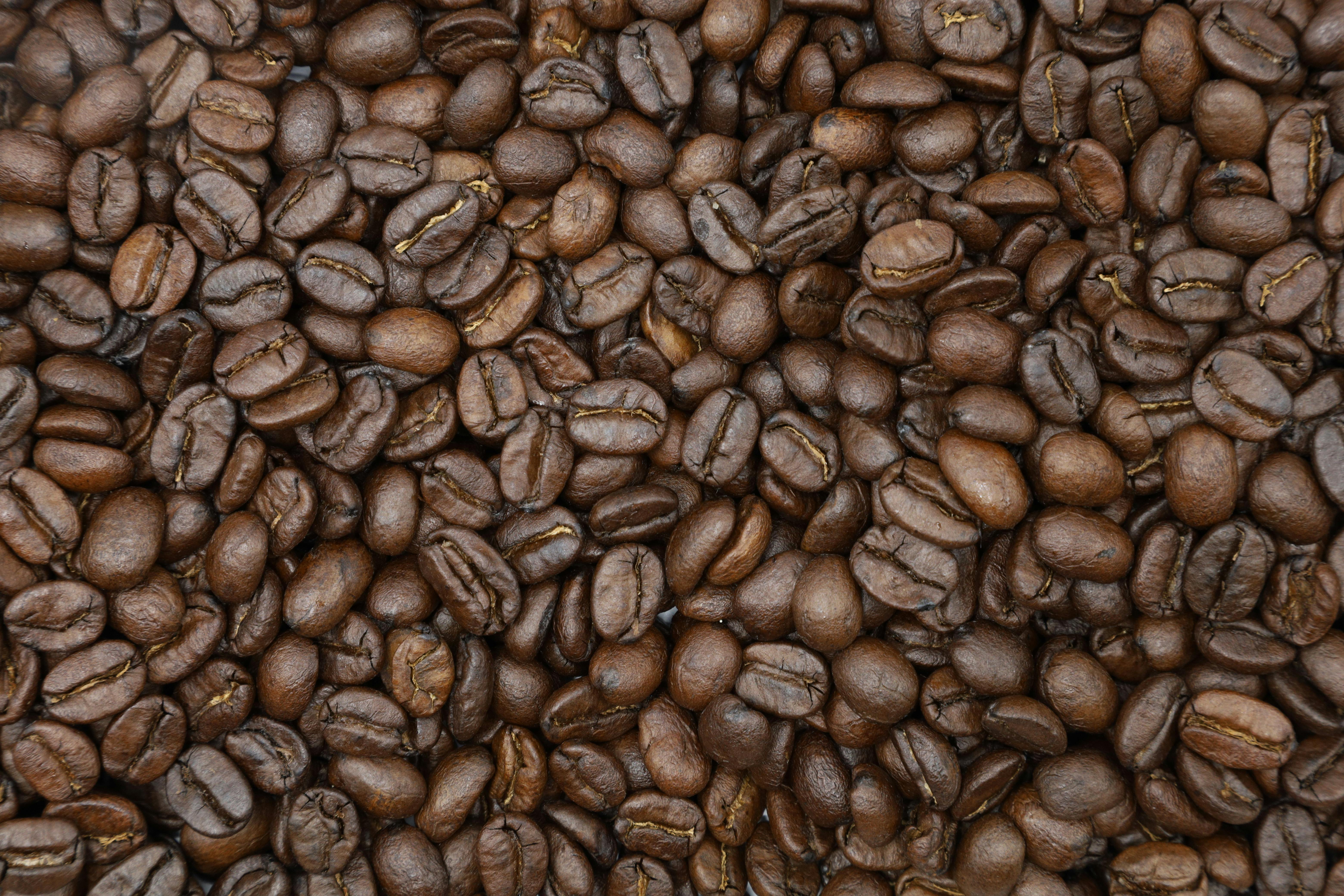 Discover 6 crucial factors that café owners and roasters need to evaluate suppliers - from quality consistency and traceability to pricing strategies. Boost your coffee business profitability today.