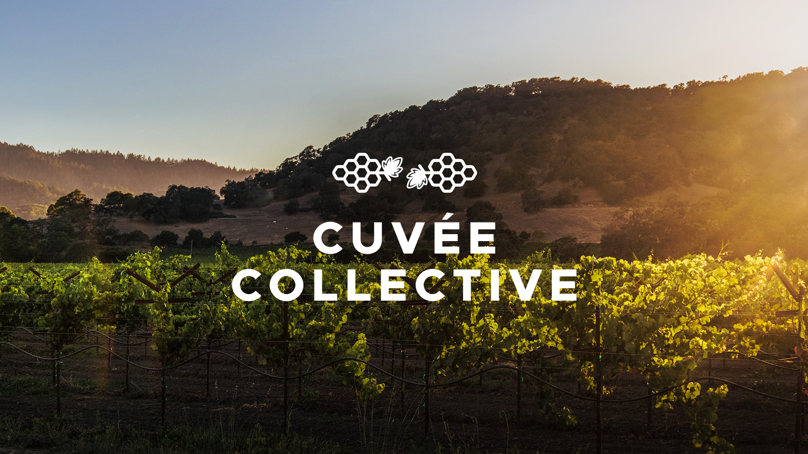 Partner Spotlight: Cuvée Collective launching the worlds first wine NFT club on Flow