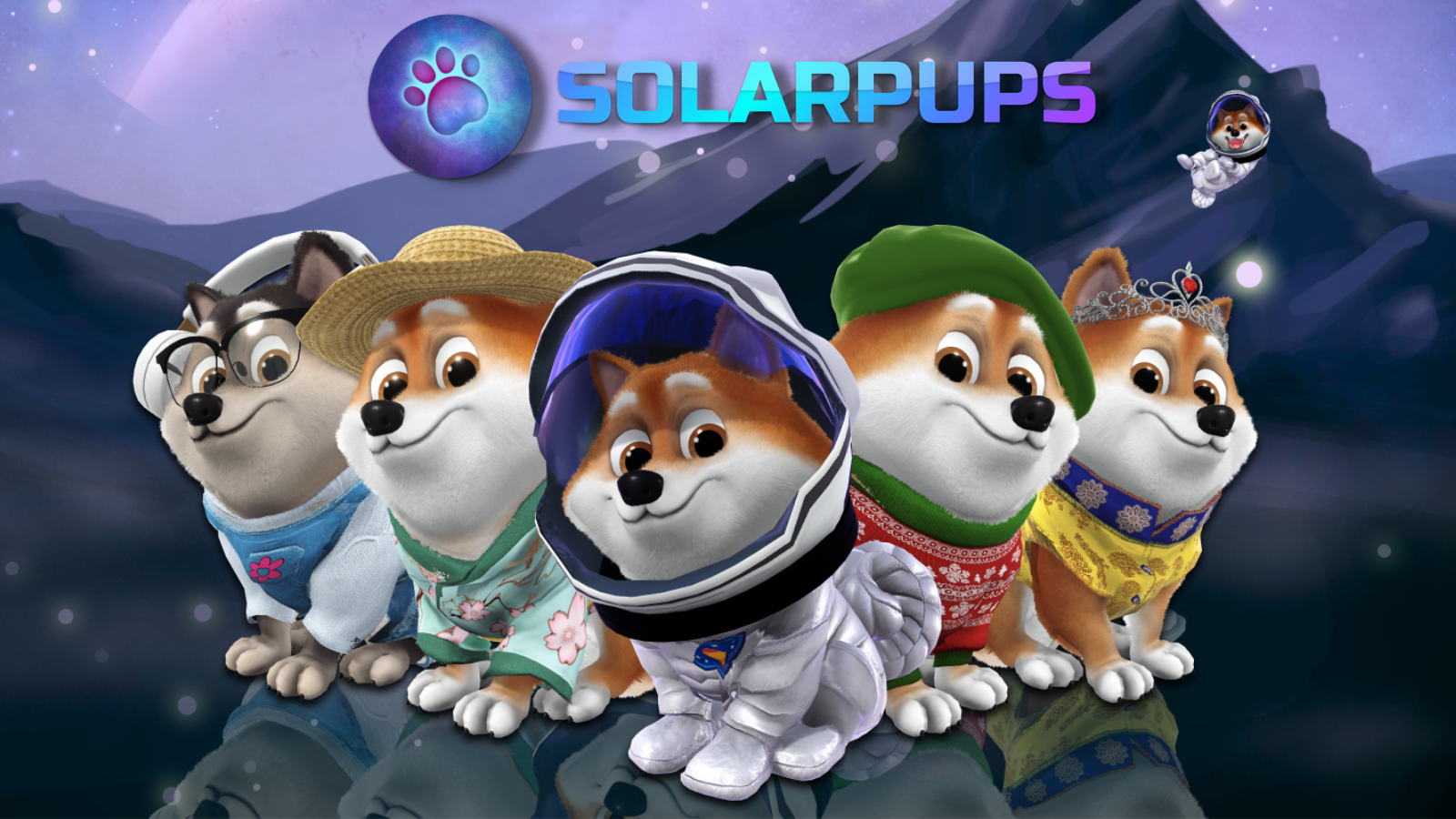 聚焦合作伙伴。与SolarPups一起寻找你的元老级好朋友