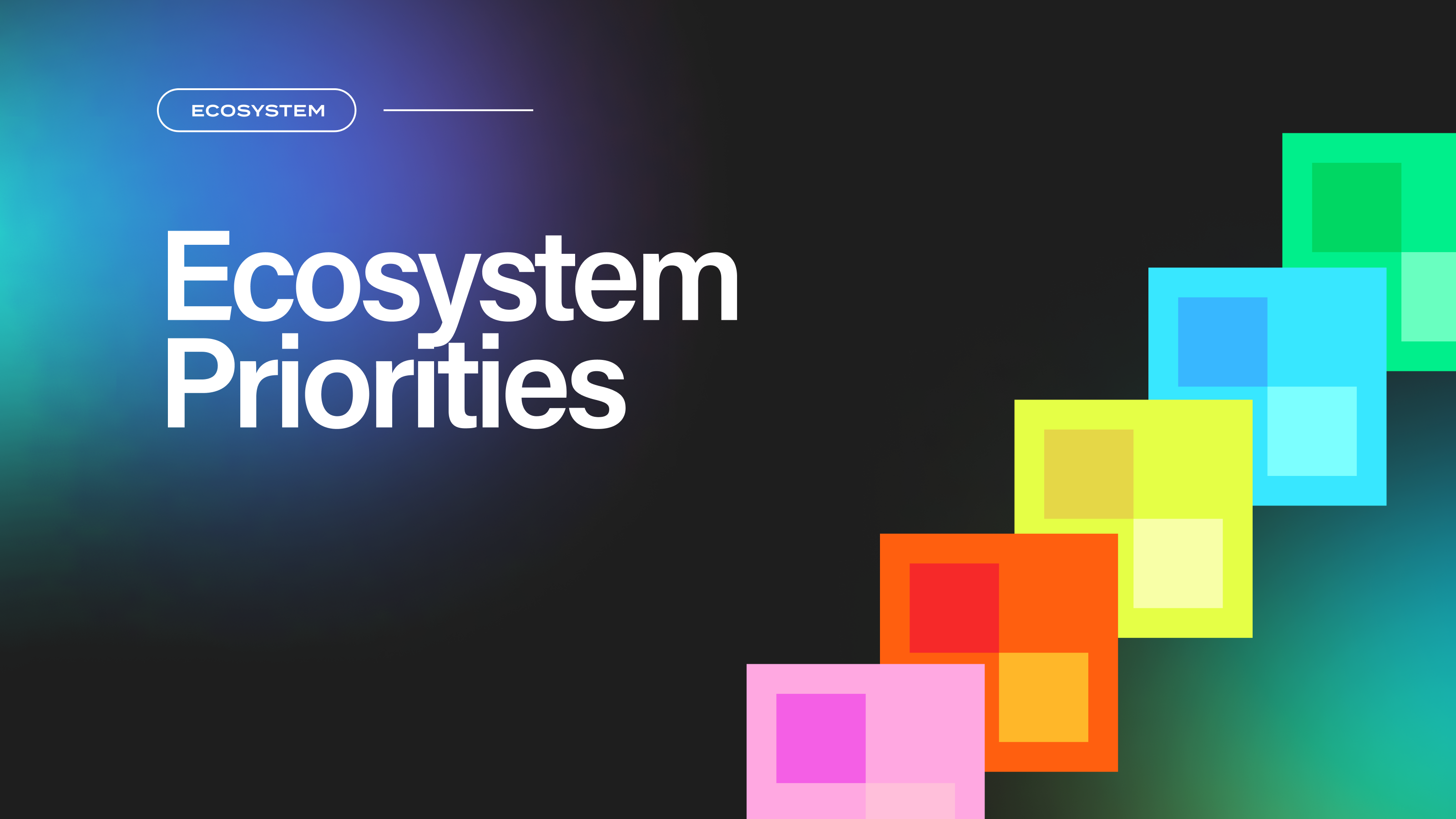 Flow Ecosystem Priorities: 2023 Overview