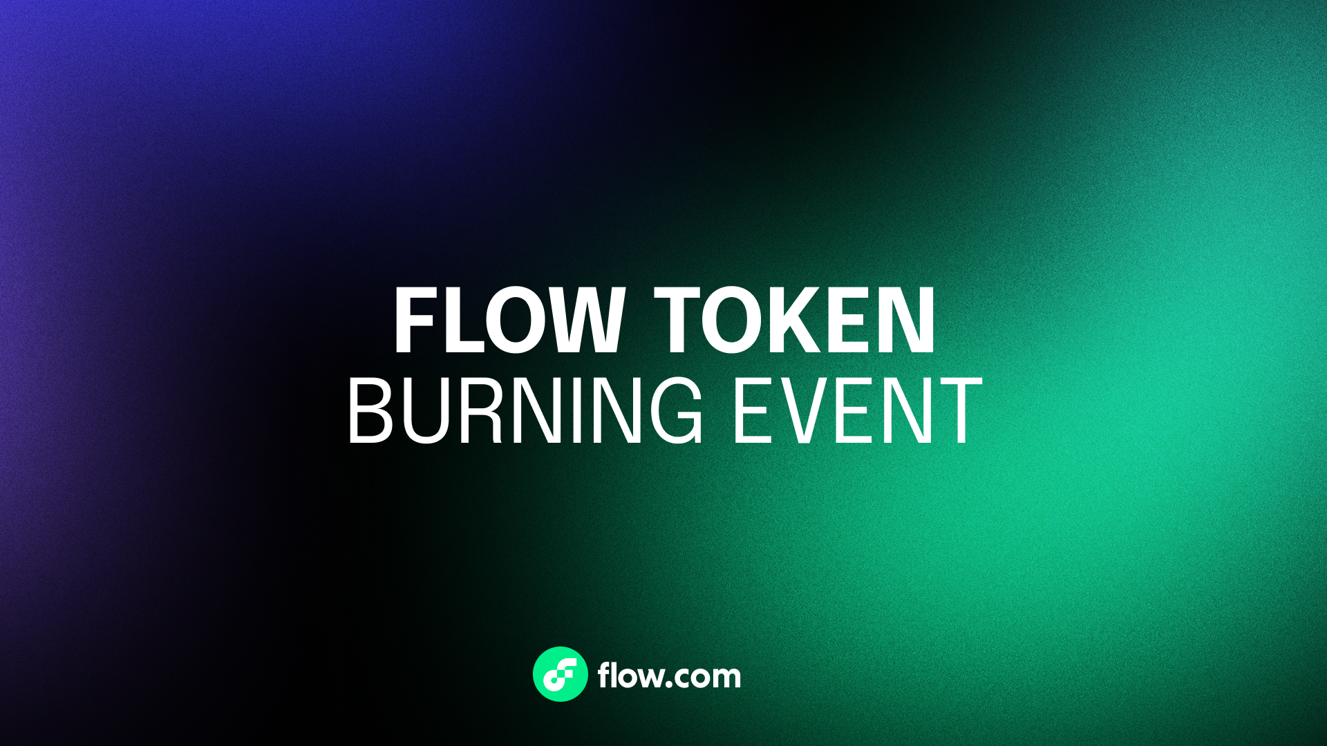 Flow: Token Burn Summary