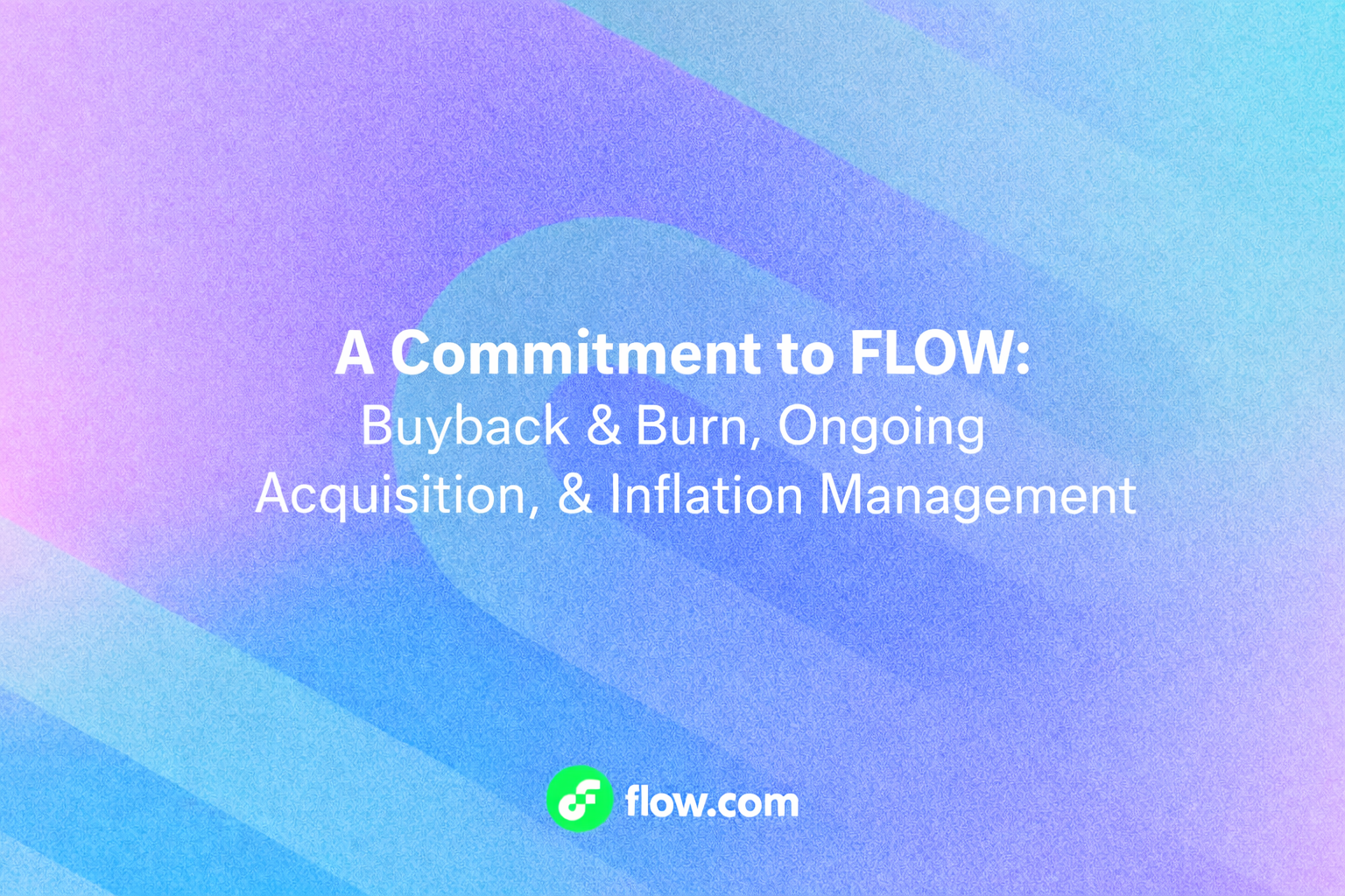 Flow Foundation: A Commitment to FLOW