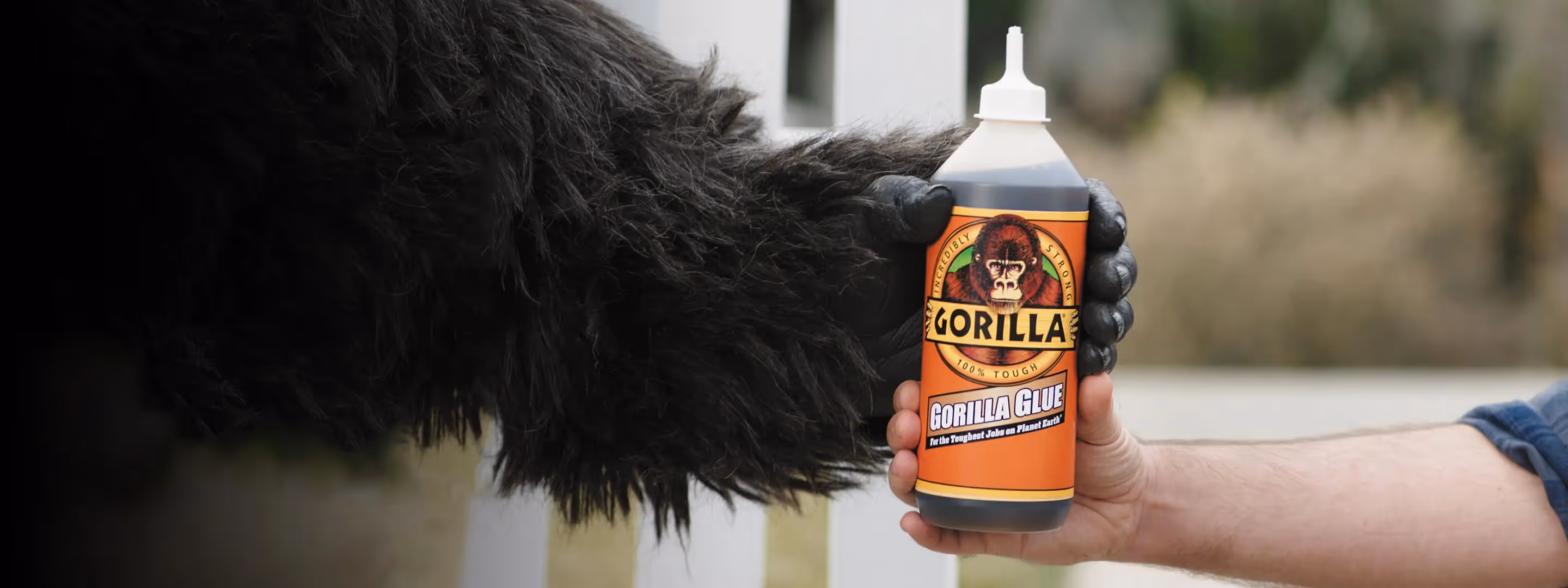 A gorilla hand and a human hand holding a bottle of Gorilla Glue together.