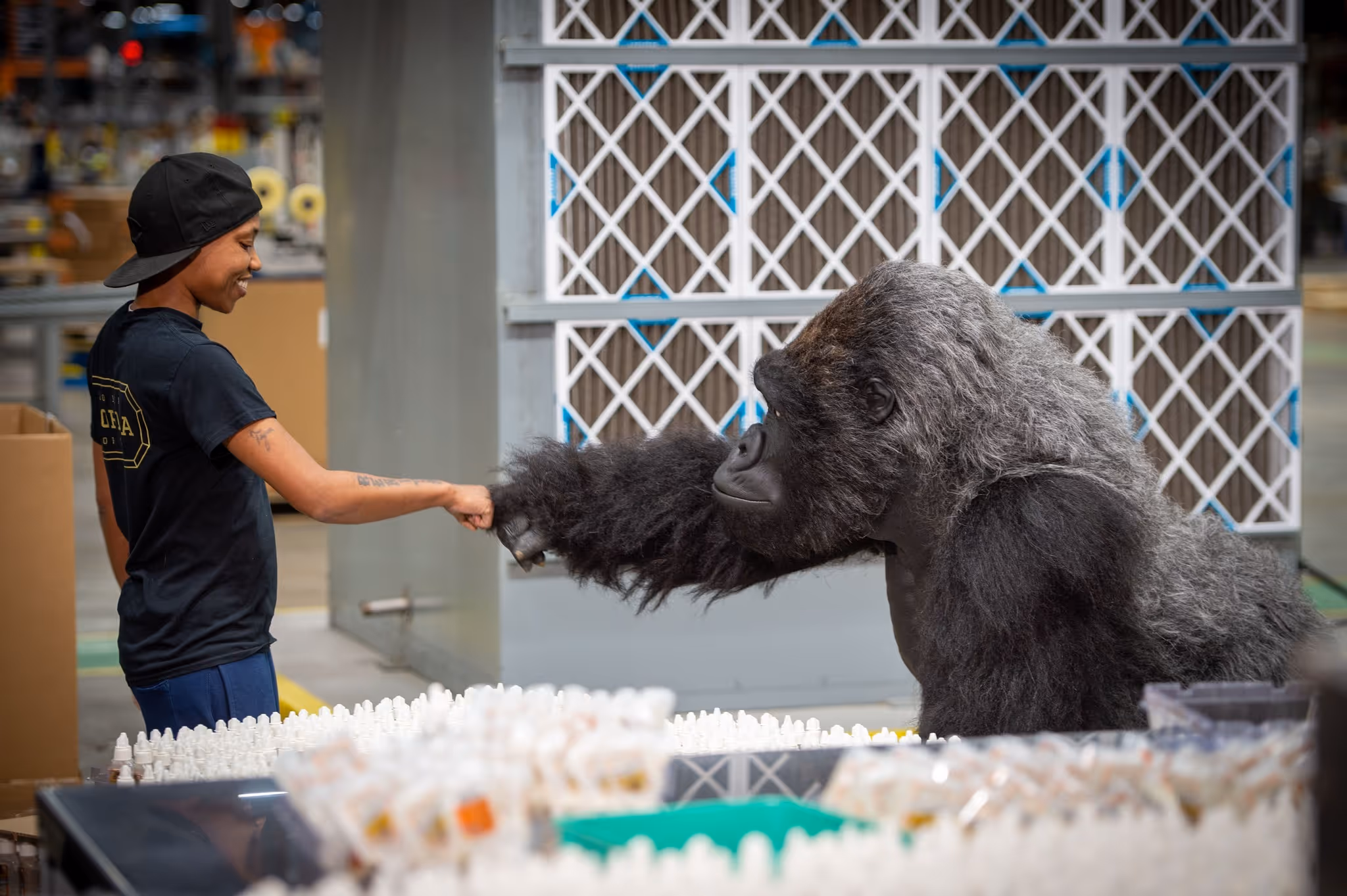 Person smiling and fist-bumping a gorilla in an industrial or warehouse setting.