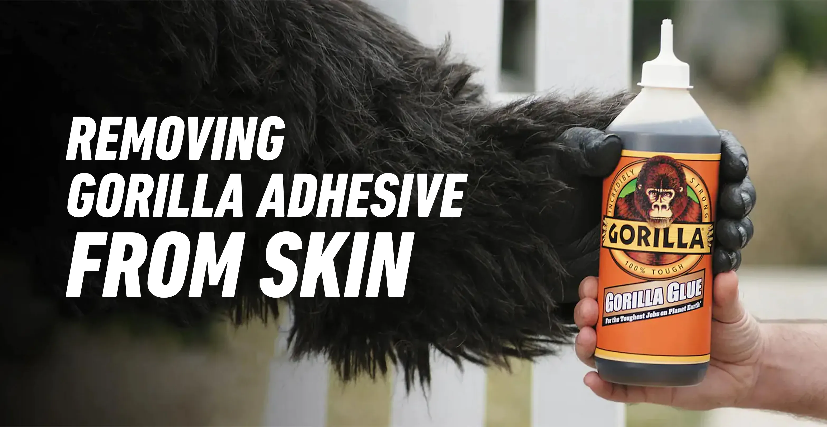 "Removing Gorilla Adhesive from Skin" over a photo of a Gorilla handing a bottle of Gorilla glue to a human