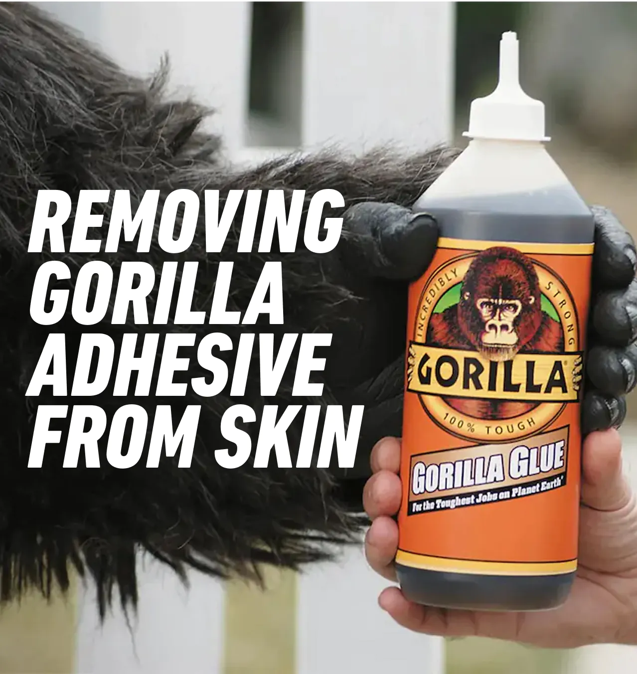 "Removing Gorilla Adhesive from Skin" over a photo of a Gorilla handing a bottle of Gorilla glue to a human