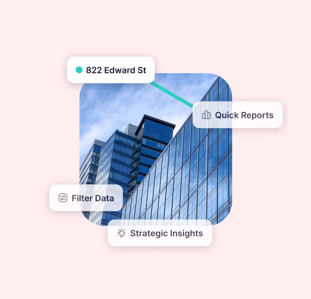 Quick reports, filter data, strategic insights.