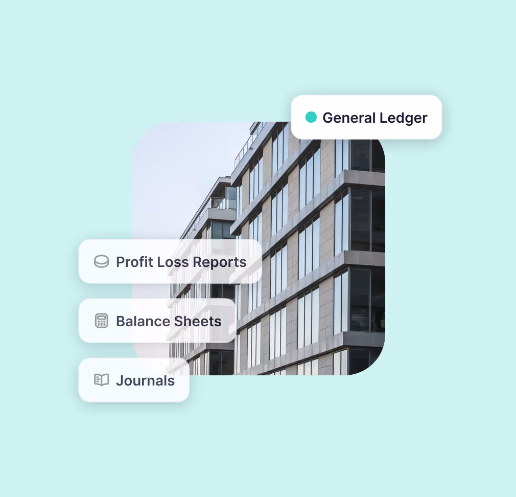 Profit loss reports, balance sheets, journals.