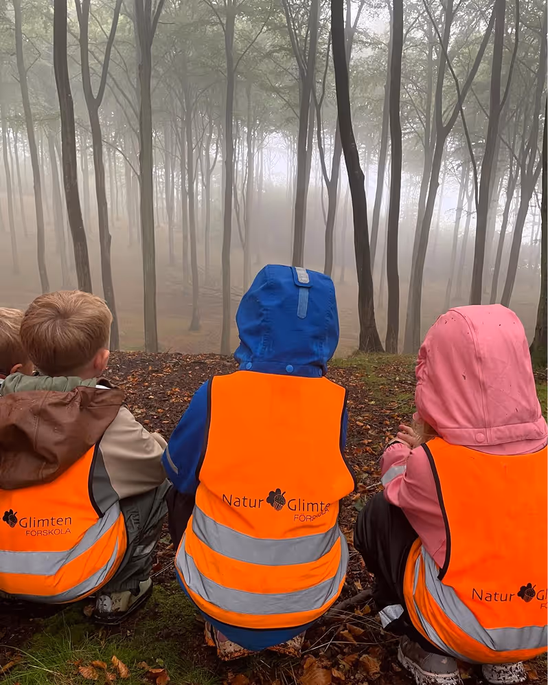 Tre barn i orange reflexvästar sitter på marken och tittar ut över en dimmig skog med höga träd.
