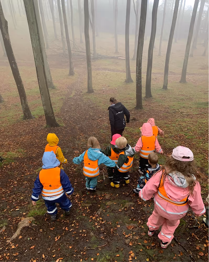 En grupp småbarn i orange reflexvästar följer en vuxen genom en dimmig skog.