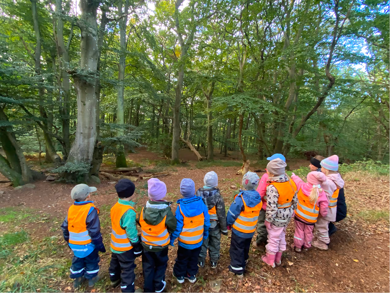 En grupp barn i orange säkerhetsvästar står vända mot en skog med många träd.