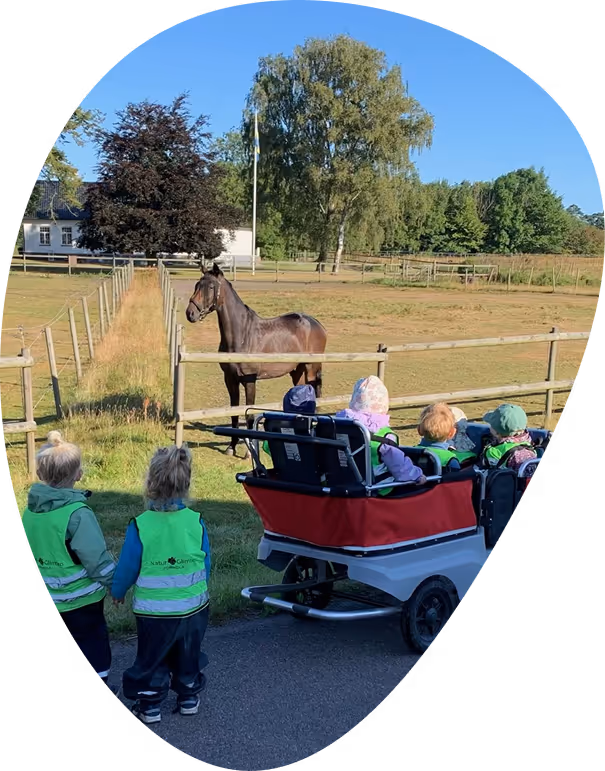 Små barn i reflexvästar som sitter i minibussar tittar på en häst som står bakom ett trästaket i en hage på en solig utedag.