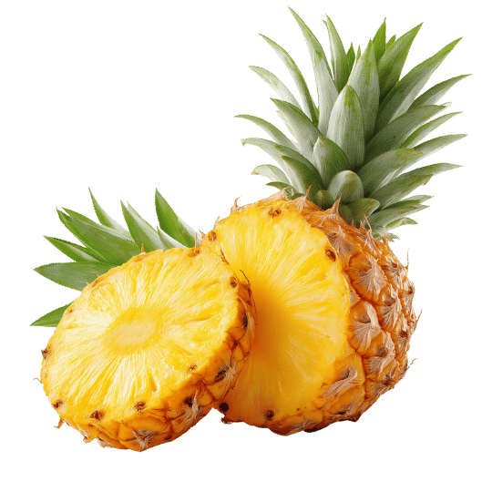 Pineapple, fresh fruit used in Patagonia Foods frozen products