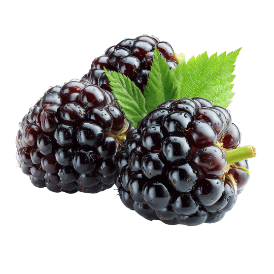 Blackberries, fresh fruit used in Patagonia Foods frozen products