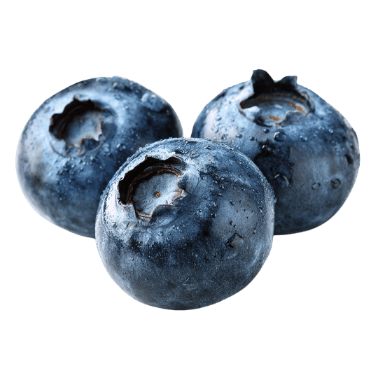 Blueberries, fresh fruit used in Patagonia Foods frozen products