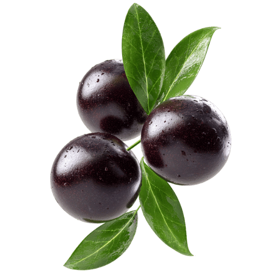 Açaí, the fruit used in Patagonia Foods frozen açaí purée