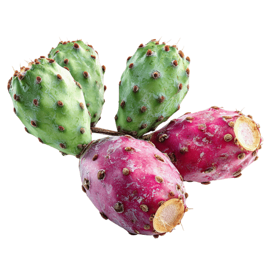 Prickly pear, speciality produce supplied by Patagonia Foods