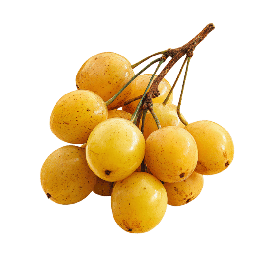 Goldenberry, speciality produce supplied by Patagonia Foods