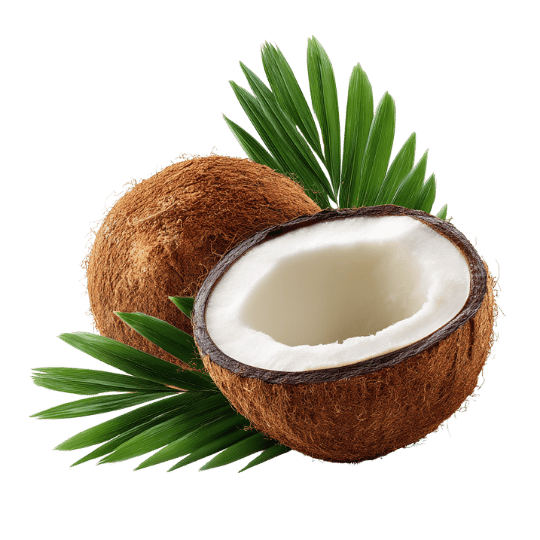 Coconut, speciality produce supplied by Patagonia Foods