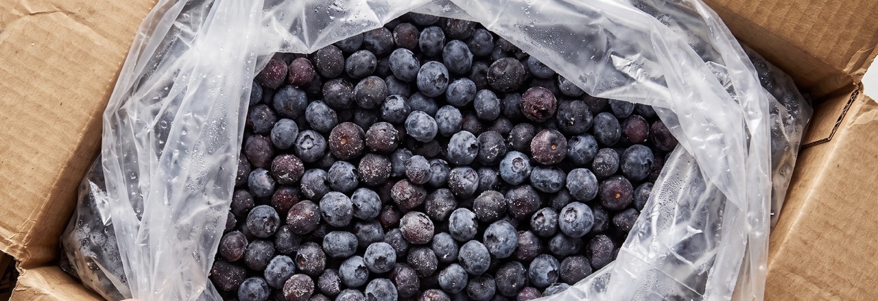 IQF frozen blueberry buying guide featured image