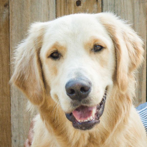 Max, Director of Happiness at Patagonia Foods