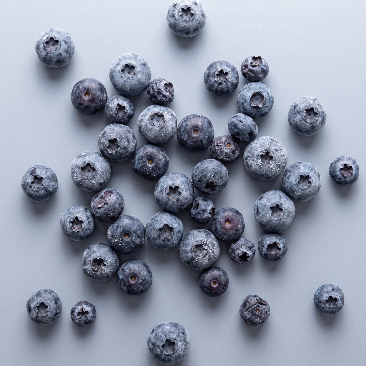 IQF Grade B whole blueberries
