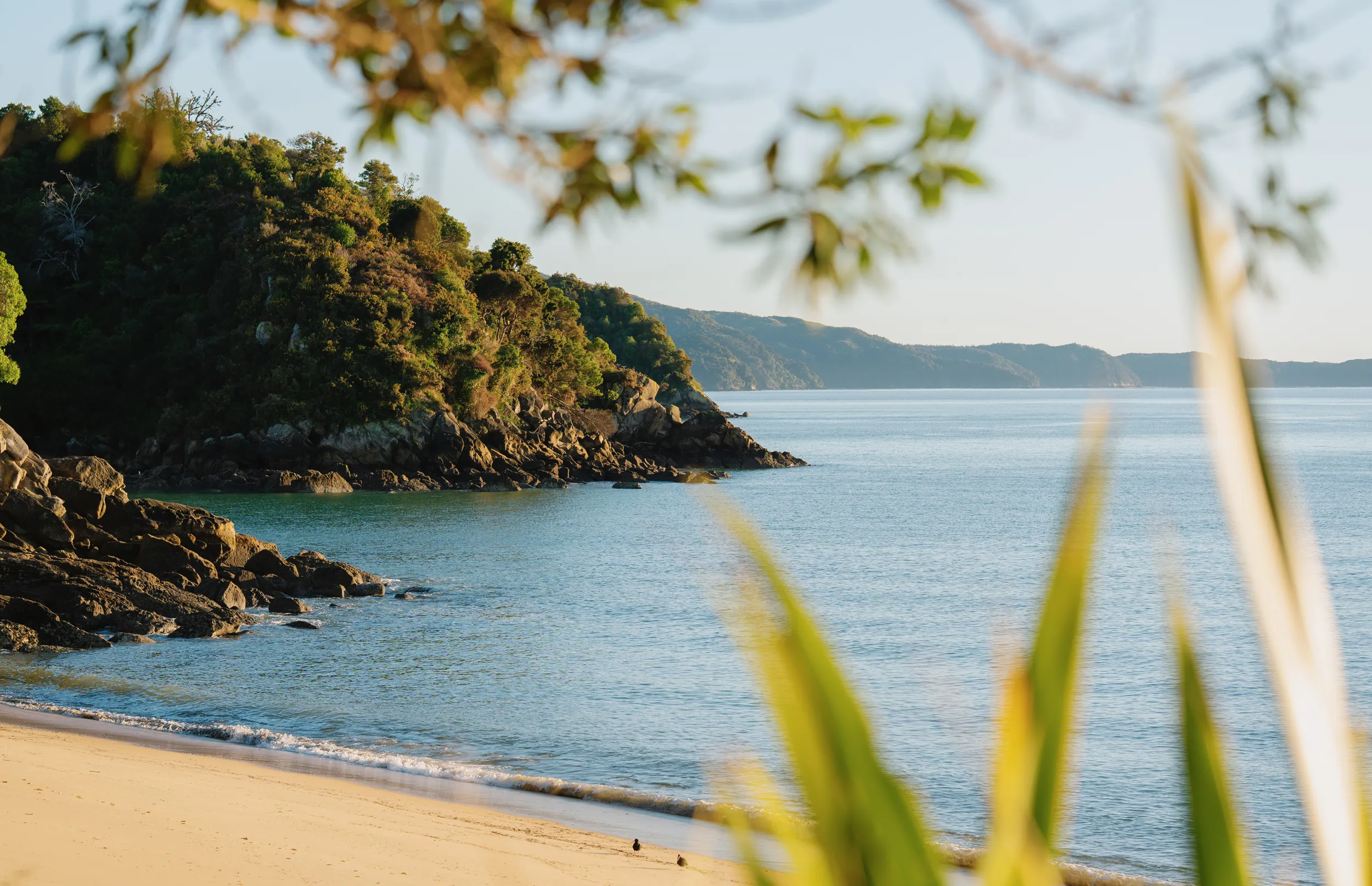 Kaiteriteri beach