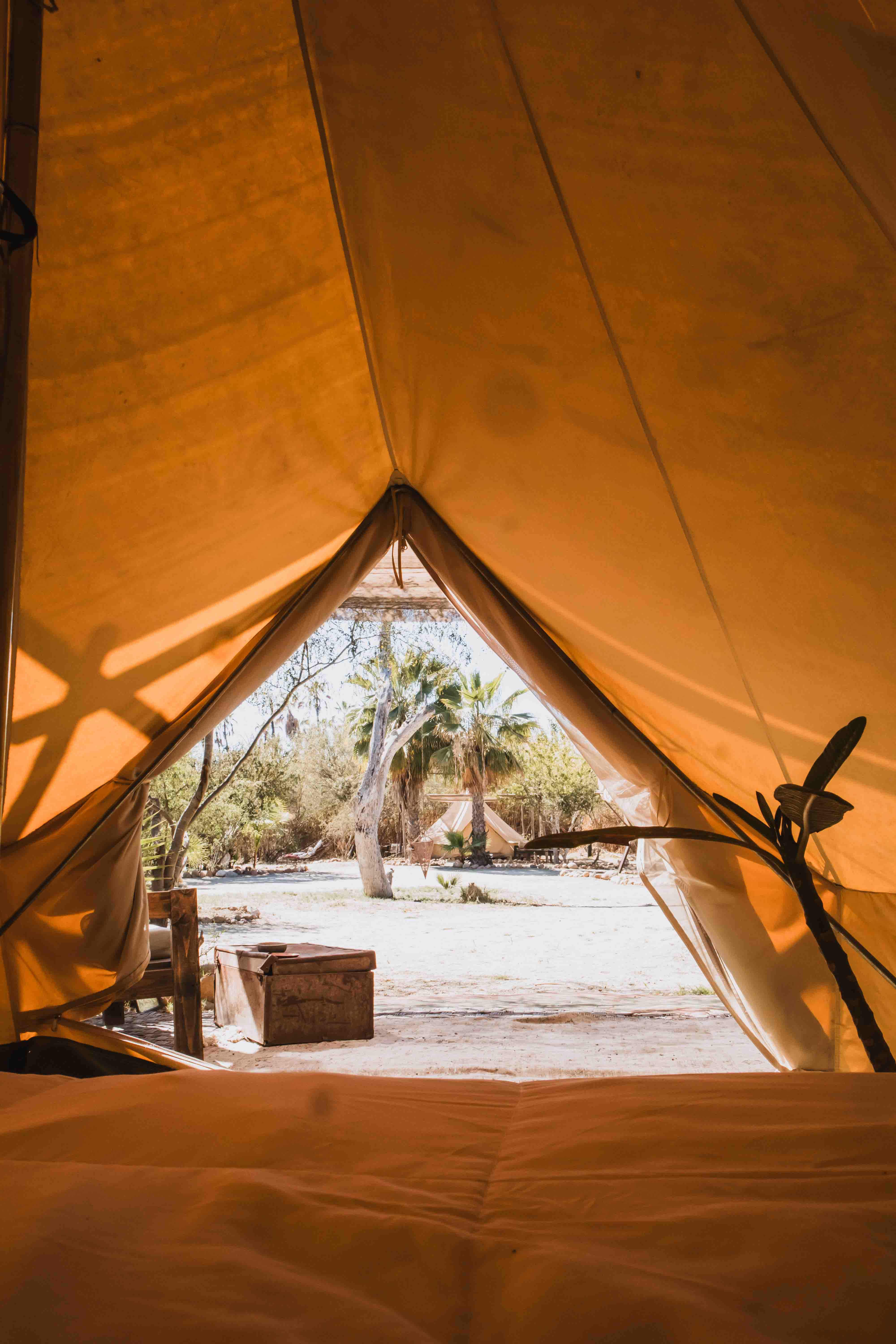View from inside a tan canvas tent looking out to a sandy campsite with palm trees and another similar tent in the background.